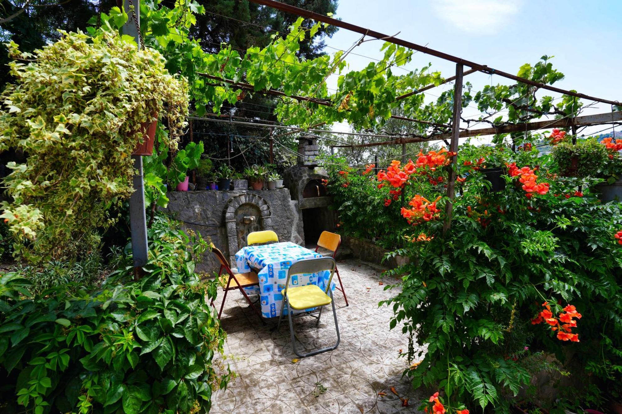 Vila Banushi Gjirokastër Exteriér fotografie