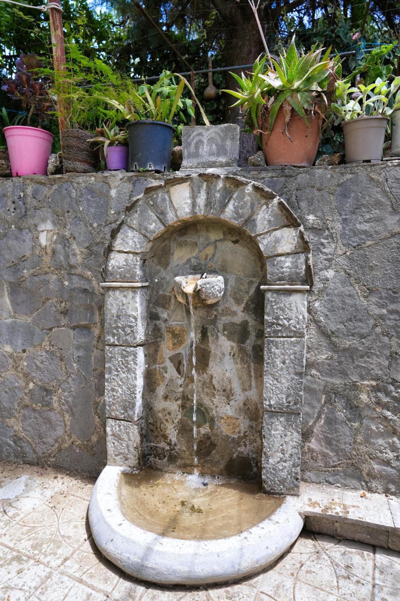 Vila Banushi Gjirokastër Exteriér fotografie